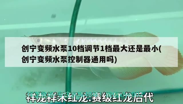 創寧變頻水泵10檔調節1檔最大還是最小(創寧變頻水泵控制器通用嗎)