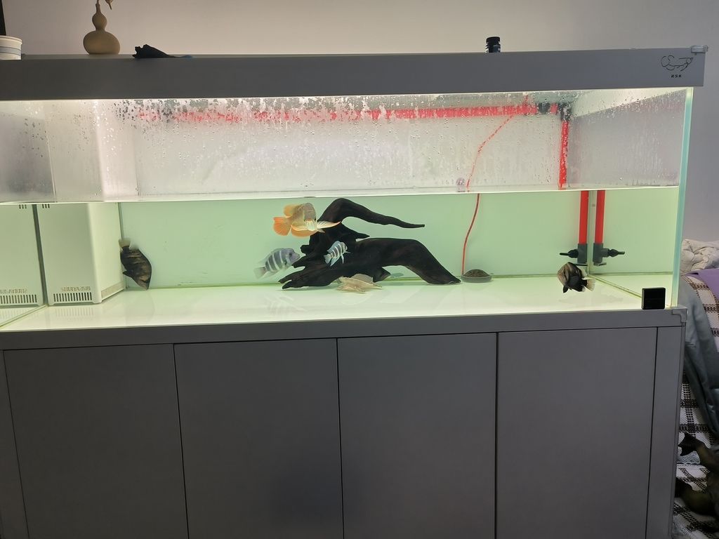 換完水睡覺