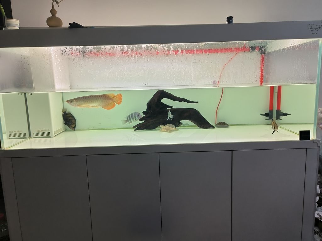 換完水睡覺