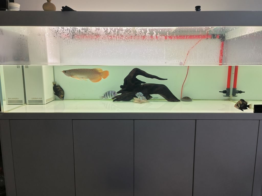 換完水睡覺