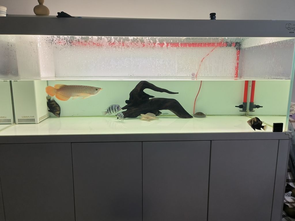 換完水睡覺