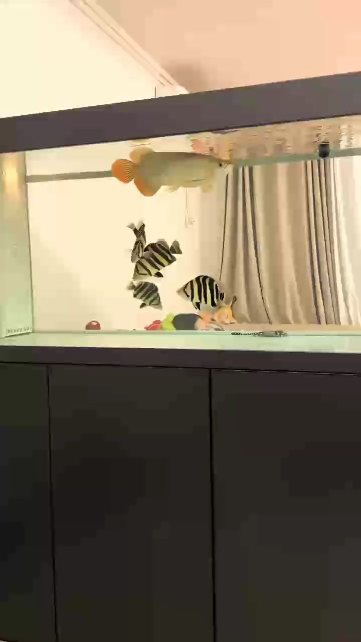 暖色系