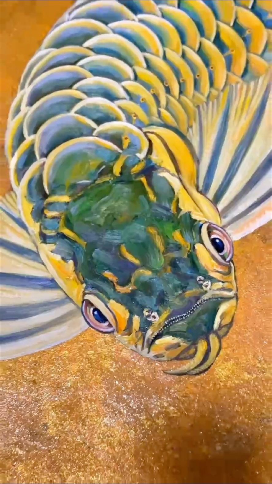 龍魚 顯靈吧,神龍! 龍魚論壇 顯靈吧,神龍! 顯靈吧,神龍! 龍魚論壇