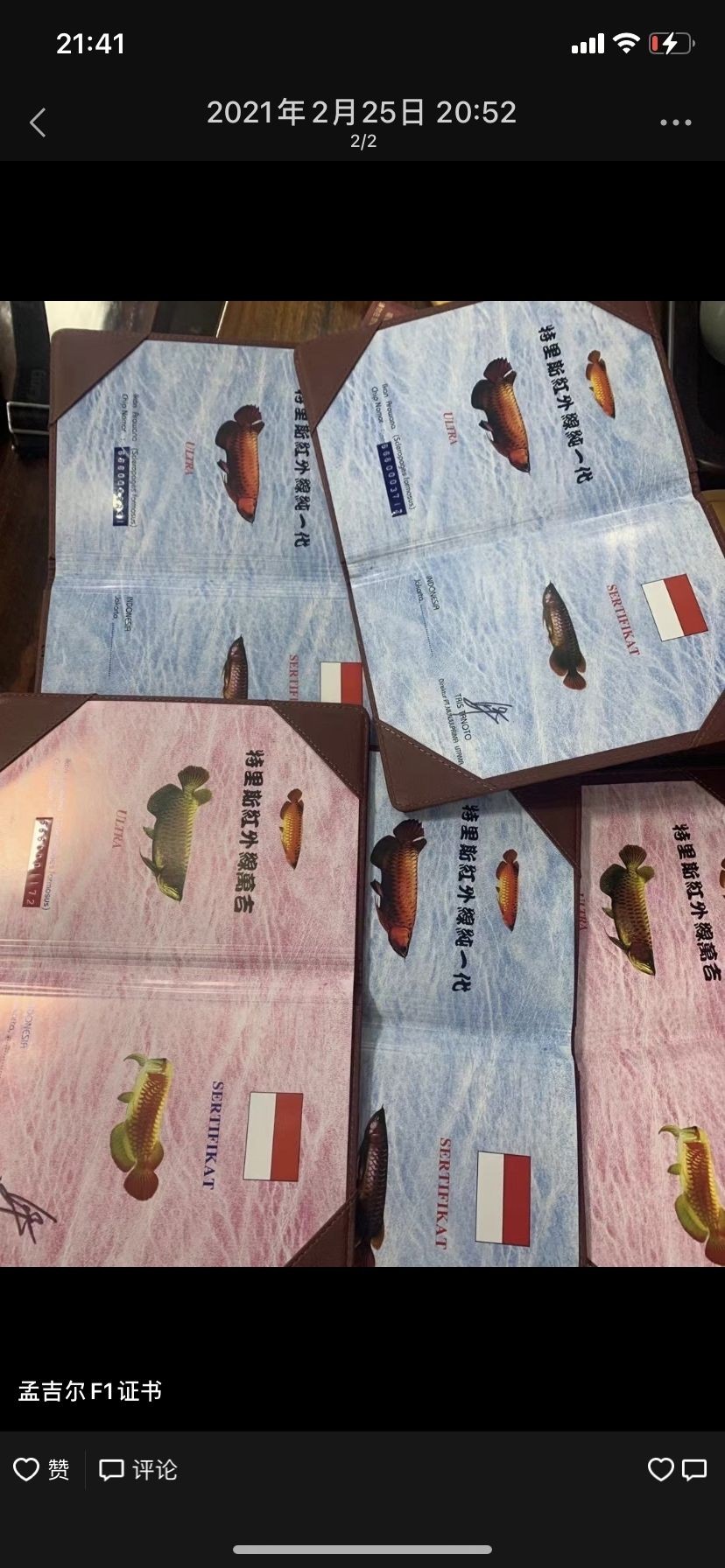 孟吉爾萬吉和F1賣臭牌子后換名赤辰紅點