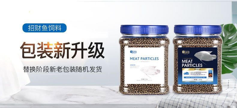 魚龍共處，揭秘傳統文化中的大忌與深層寓意