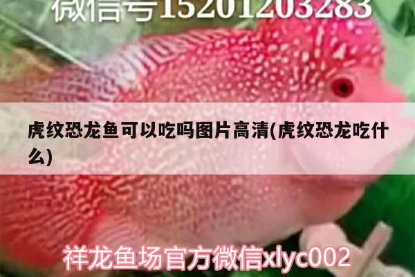 十大不建議購(gòu)買(mǎi)的魚(yú)缸魚(yú)缸，十大不建議購(gòu)買(mǎi)的魚(yú)缸
