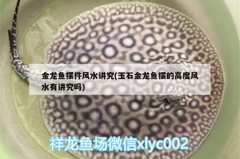 十大不建議購(gòu)買(mǎi)的魚(yú)缸魚(yú)缸，十大不建議購(gòu)買(mǎi)的魚(yú)缸