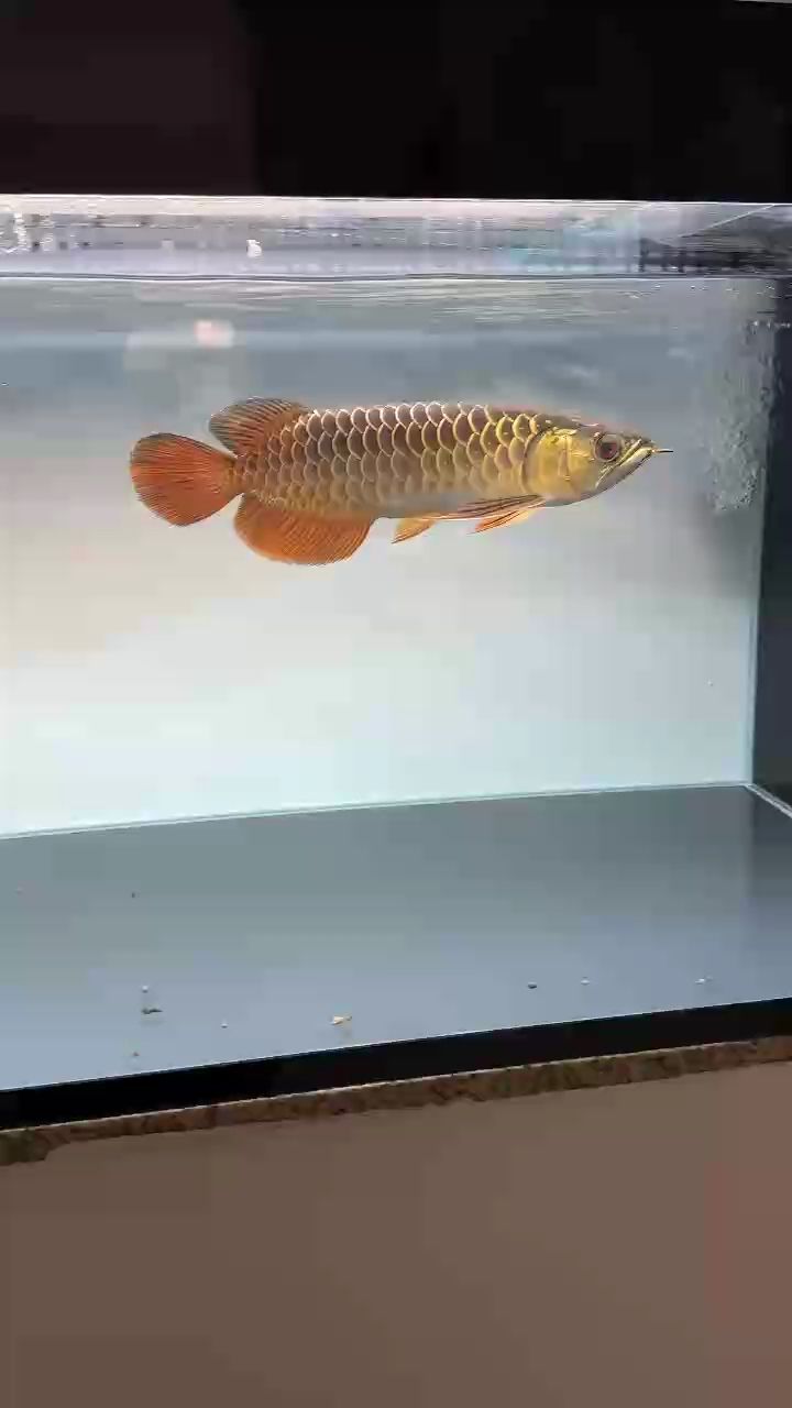 心急