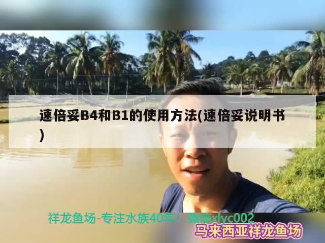 速倍妥B4和B1的使用方法(速倍妥說明書)