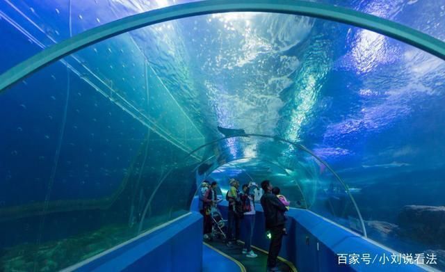 中國第一大水族館：<strong><mark>上海</mark></strong>海洋水族館
