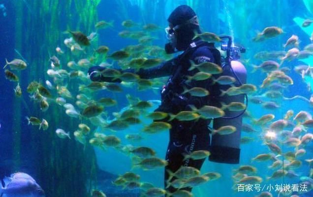 中國第一大水族館：上海海洋水族館