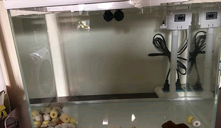 魚躍龍門，揭秘魚與生肖之間的神秘關聯與文化象征