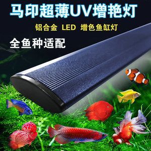馬印uva燈怎么樣：馬印uva燈在增艷效果、外觀設計、實用性以及性價比