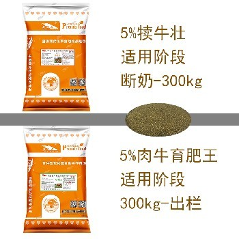 魚缸坐北向南能不能放在西北角呢？風水解析與擺放建議