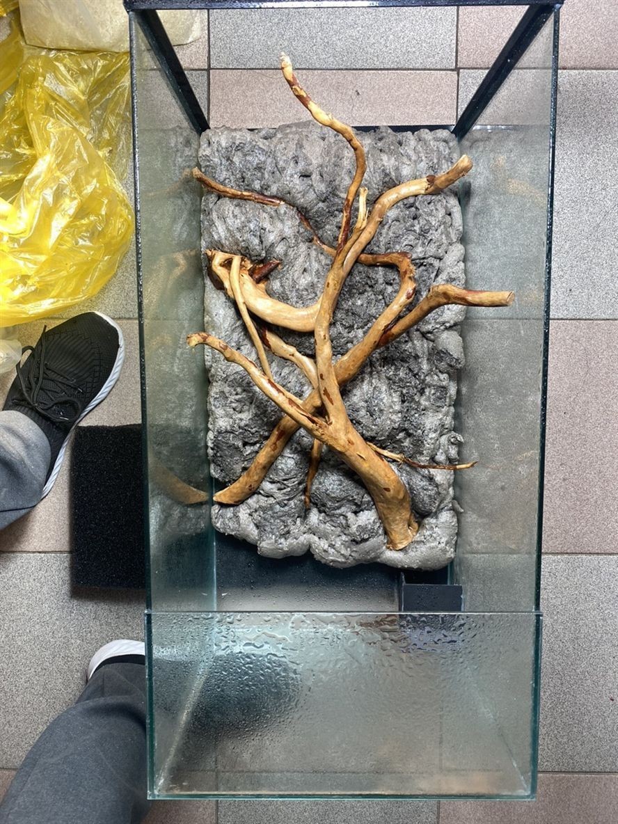 開缸記錄