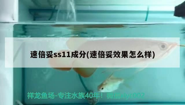 速倍妥ss11成分(速倍妥效果怎么樣) 速倍妥ss11成分(速倍妥效果怎么樣) 速倍妥
