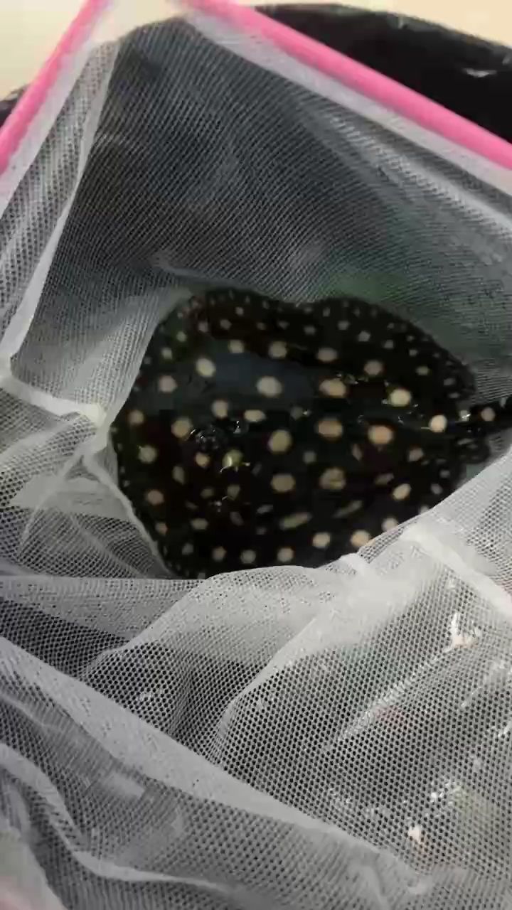 把最好的留給魚友