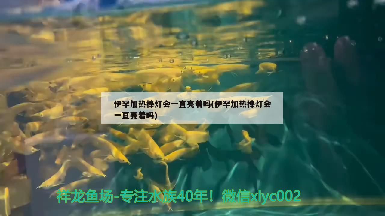伊罕加熱棒燈會一直亮著嗎(伊罕加熱棒燈會一直亮著嗎)