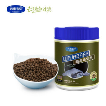 魚缸造景制作視頻教程全集，從入門到精通
