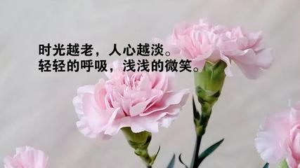 魚缸造景放什么風水好？打造旺財招福的風水魚缸