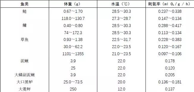 幼年龍魚白天趴缸怎么回事：幼年龍魚白天趴缸之奧秘