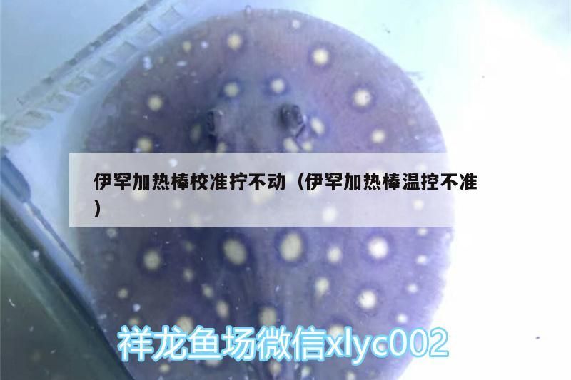 伊罕加熱棒校準擰不動（伊罕加熱棒溫控不準）