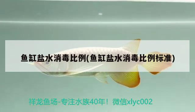 魚缸鹽水消毒比例(魚缸鹽水消毒比例標(biāo)準(zhǔn))