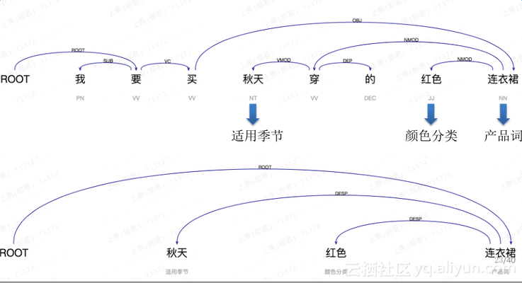 有長不大的龍魚品種圖片大全嗎：探秘有長不大的龍魚品種，圖片背后的奇妙世界