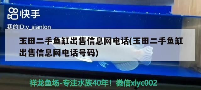 玉田二手魚缸出售信息網電話(玉田二手魚缸出售信息網電話號碼)