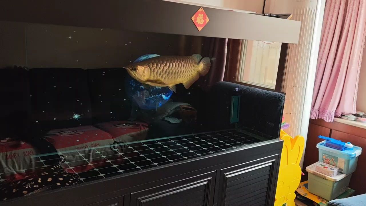 春暖花開注意魚缸溫差