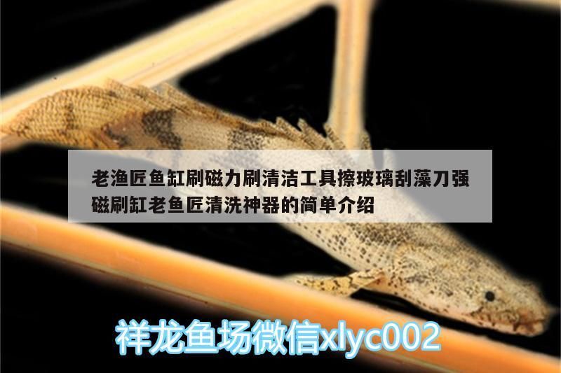 老漁匠魚缸刷磁力刷清潔工具擦玻璃刮藻刀強磁刷缸老魚匠清洗神器的簡單介紹