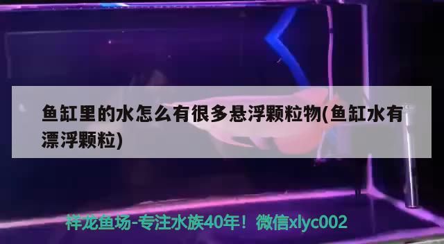 魚缸里的水怎么有很多懸浮顆粒物(魚缸水有漂浮顆粒)