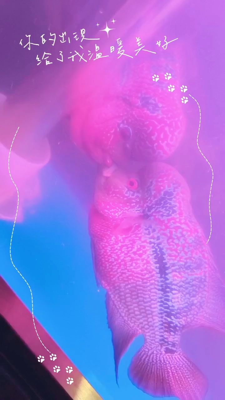 感情深一口悶