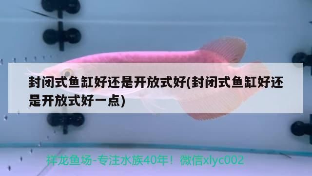 封閉式魚缸好還是開放式好(封閉式魚缸好還是開放式好一點)