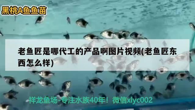 老魚匠是哪代工的產品啊圖片視頻(老魚匠東西怎么樣)