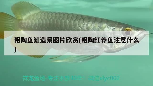 小型魚 粗陶魚缸造景圖片欣賞(粗陶缸養(yǎng)魚注意什么) iwish愛唯希品牌魚缸 粗陶魚缸造景圖片欣賞(粗陶缸養(yǎng)魚注意什么) 粗陶魚缸造景圖片欣賞(粗陶缸養(yǎng)魚注意什么) iwish愛唯希品牌魚缸
