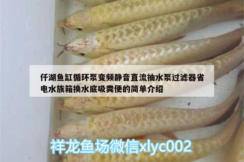 仟湖魚缸循環泵變頻靜音直流抽水泵過濾器省電水族箱換水底吸糞便的簡單介紹