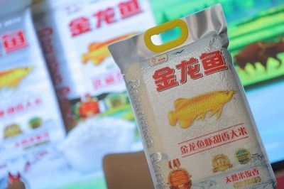 金龍魚抗風(fēng)險能力評估：金龍魚esg評級提升原因