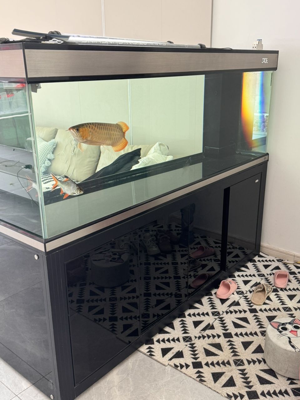 彩蝶魚缸，龍潭新兵2米×750