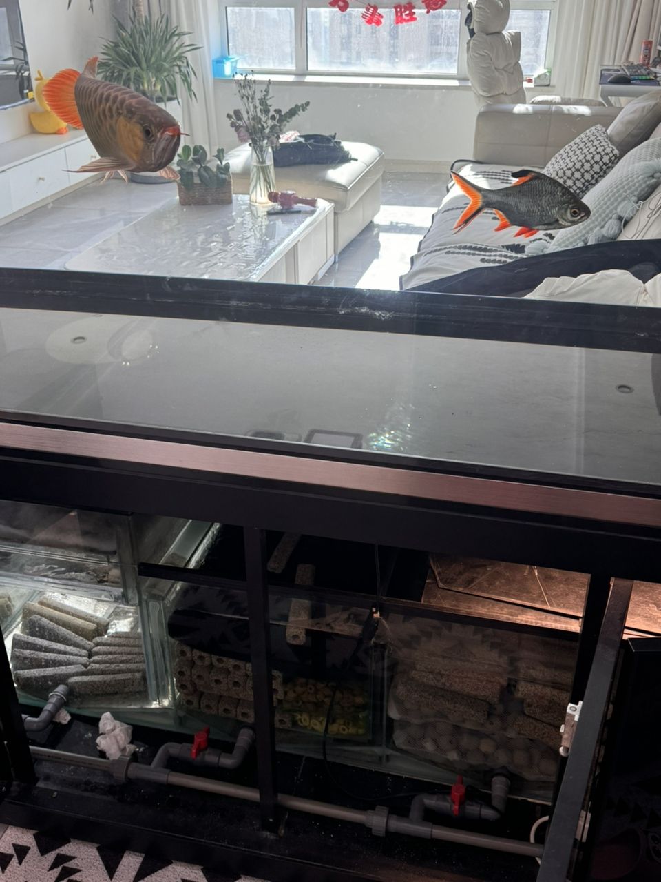 彩蝶魚缸，龍潭新兵2米×750