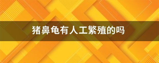 豬鼻龜人工繁殖視頻播放：豬鼻龜人工繁殖視頻和豬鼻龜怎么繁殖視頻對應的相關信息