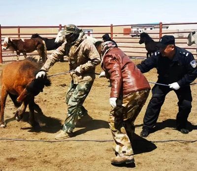 馬印燈用了一個月會有質量損失嗎：馬印燈在使用一個月會有質量損失嗎