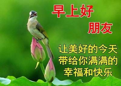 裸缸養魚的注意事項，裸缸養魚有哪些注意事項裸缸養魚水質管理清單