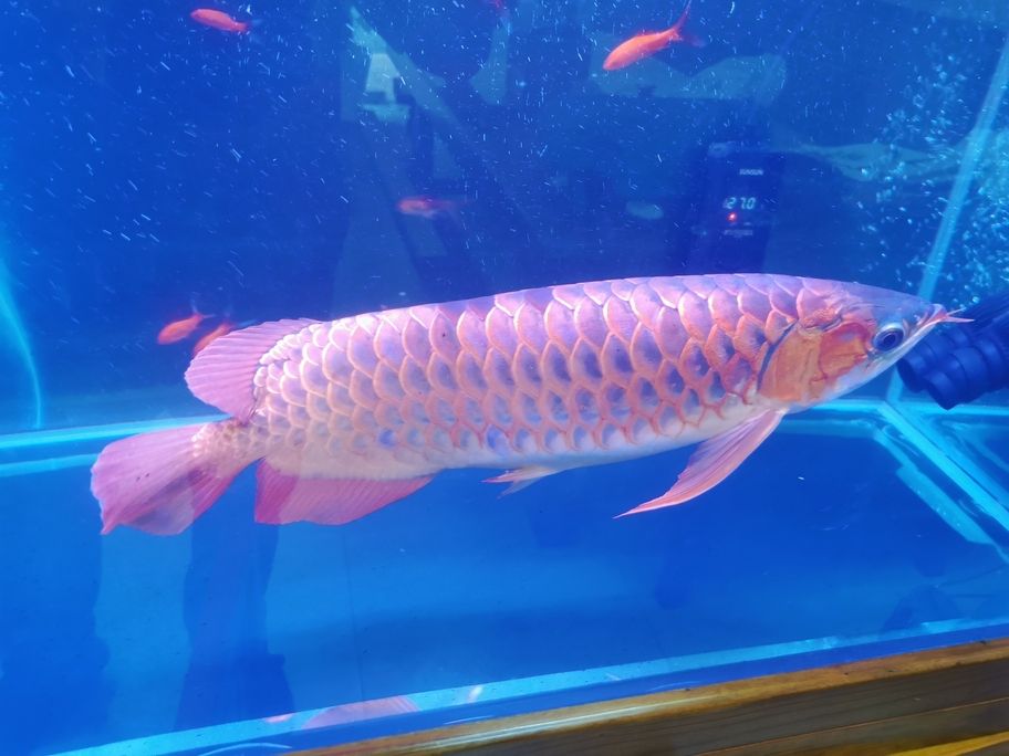 換換換