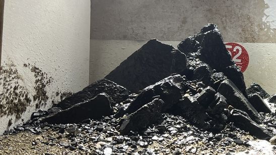 免費(fèi)造景，滿意后發(fā)貨！