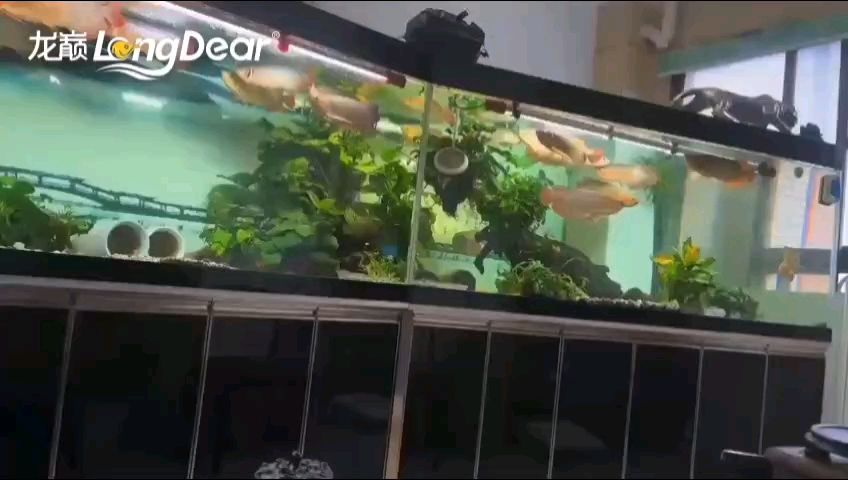 轉發705