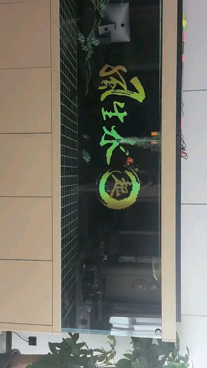 龍魚拒食