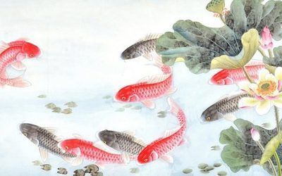 泉州可麗愛魚缸專賣店，打造水族愛好者的夢幻家園