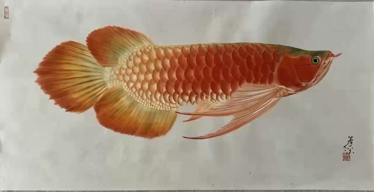 龍魚畫