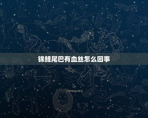 錦鯉尾巴紅血絲怎么治療（錦鯉尾巴紅血絲怎么辦）